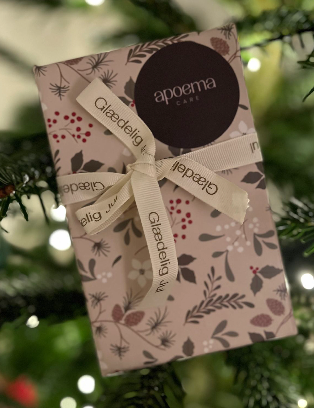 Advent Collection 001 - Image 2