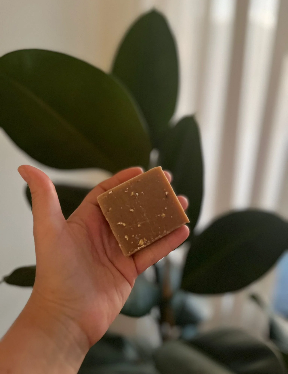 COCOA SOAP - Image 2