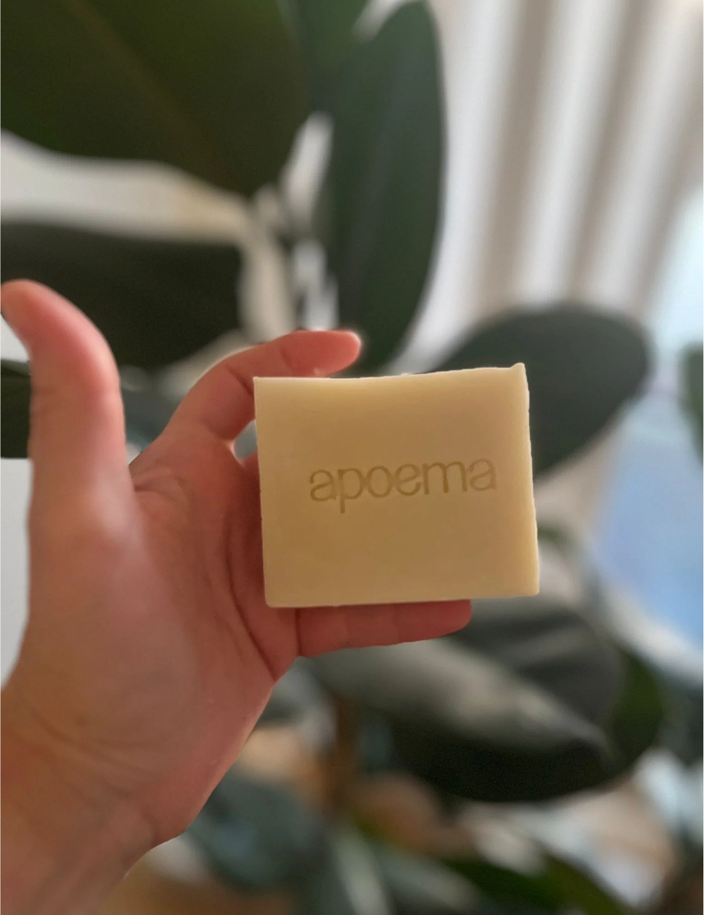 CUPUAÇU & LAVANDER SOAP