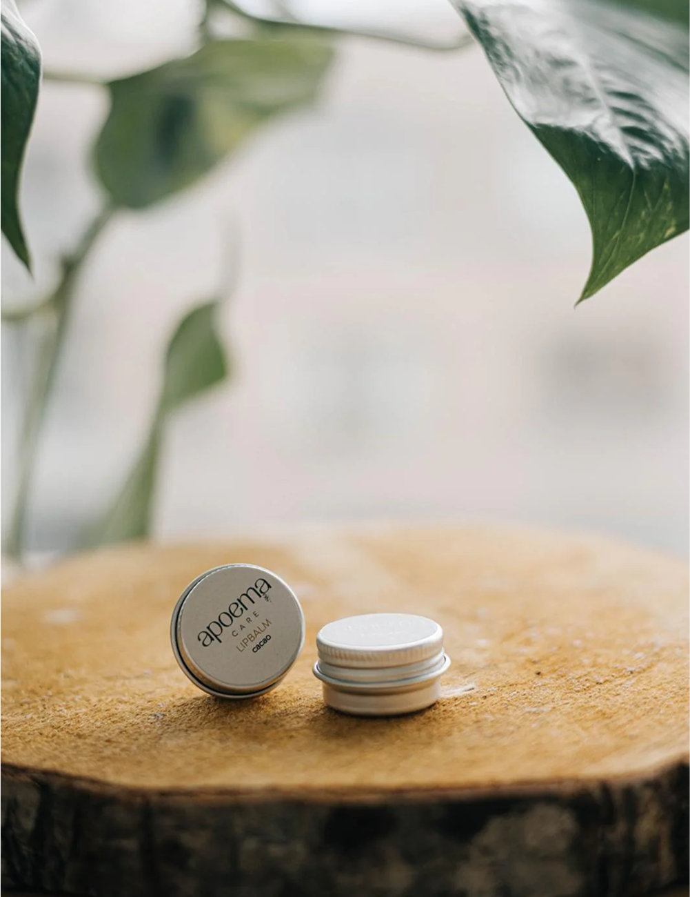 LIPBALM CACAO - Image 7
