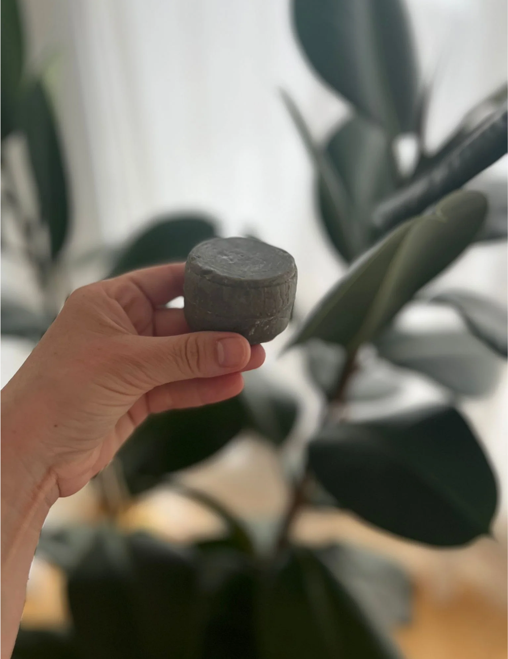 PASSION FRUIT | solid shampoo - Image 3