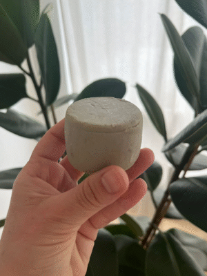 PRACAXI | solid shampoo