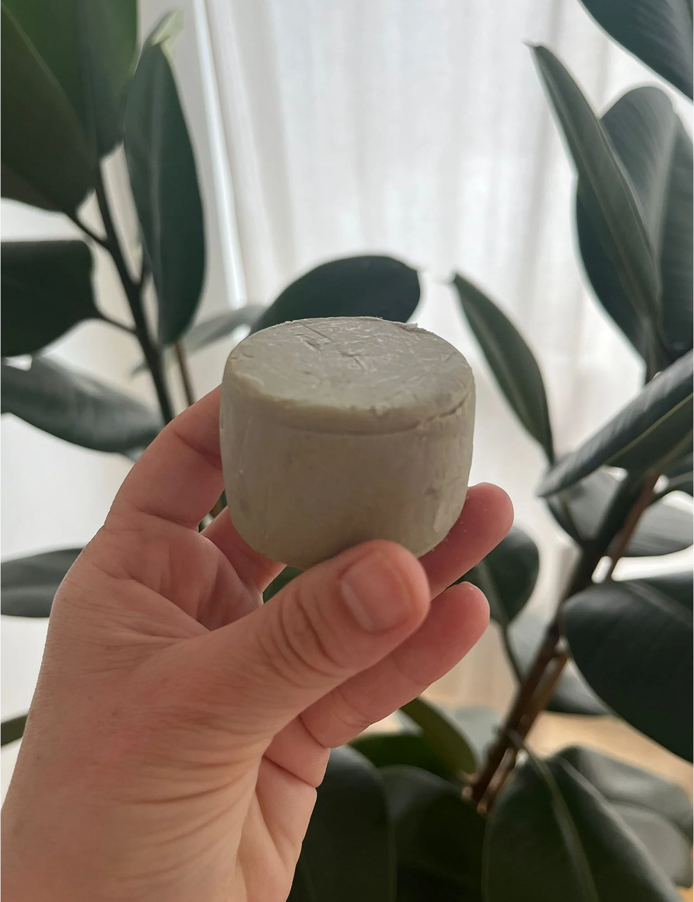 PRACAXI | solid shampoo