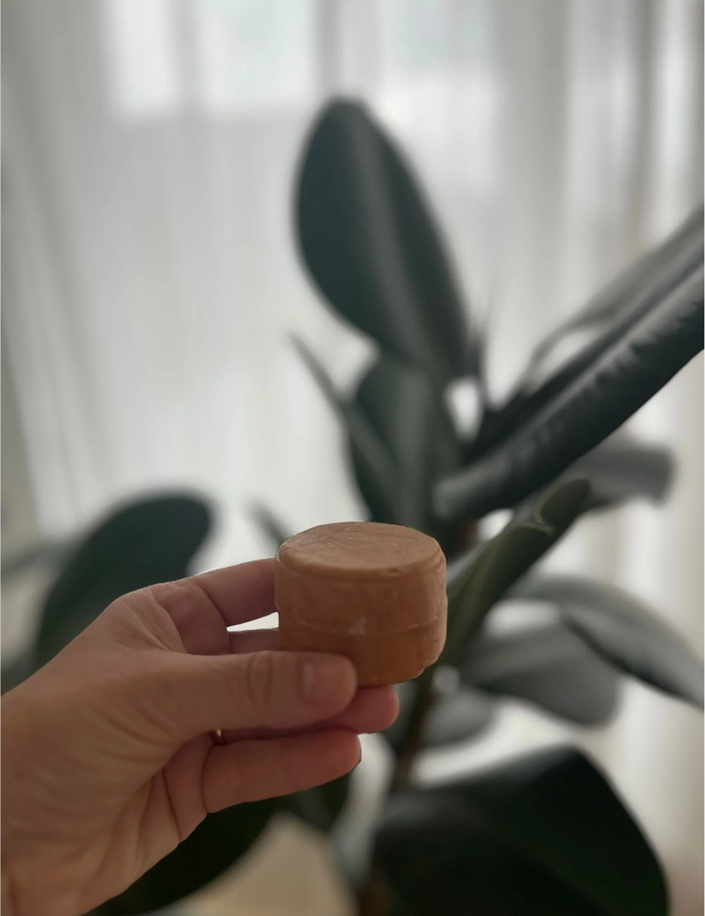 SWEET ORANGE | solid shampoo