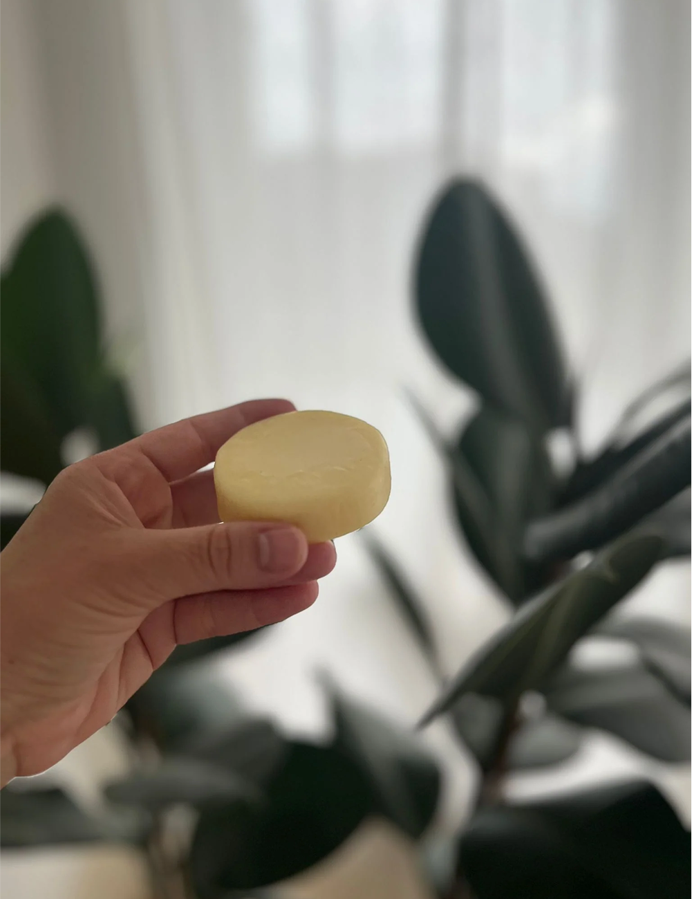 TUCUMA & PATAUA | solid hair mask